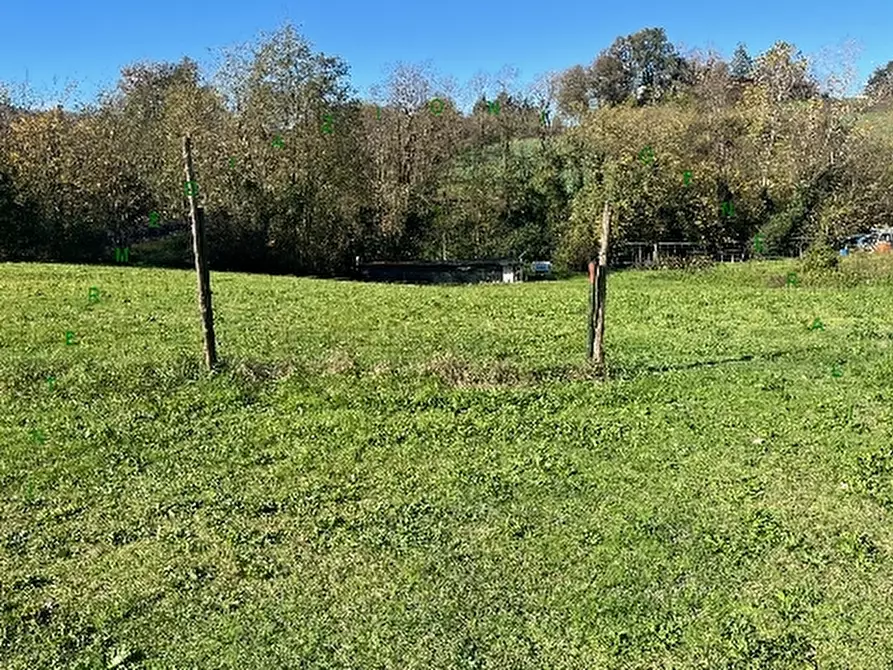 Immagine 3 di Appartamento in vendita  a Vicchio