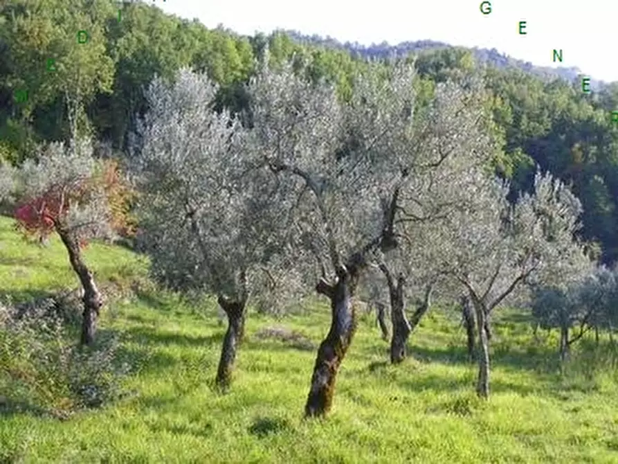 Immagine 1 di Appartamento in vendita  a Borgo San Lorenzo