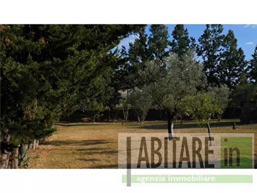 Immagine 9 di Rustico / casale in vendita  a Barberino Tavarnelle