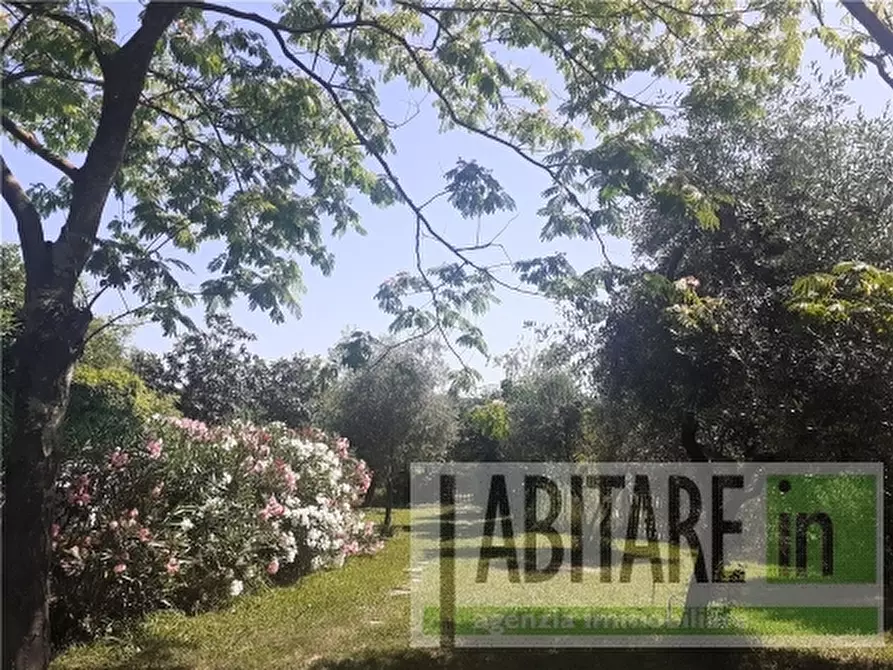 Immagine 3 di Rustico / casale in vendita  a Montespertoli