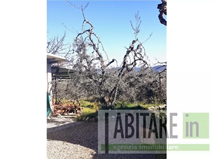 Immagine 6 di Appartamento in vendita  a Montespertoli