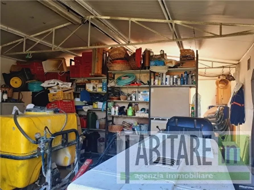 Immagine 10 di Appartamento in vendita  a Montespertoli