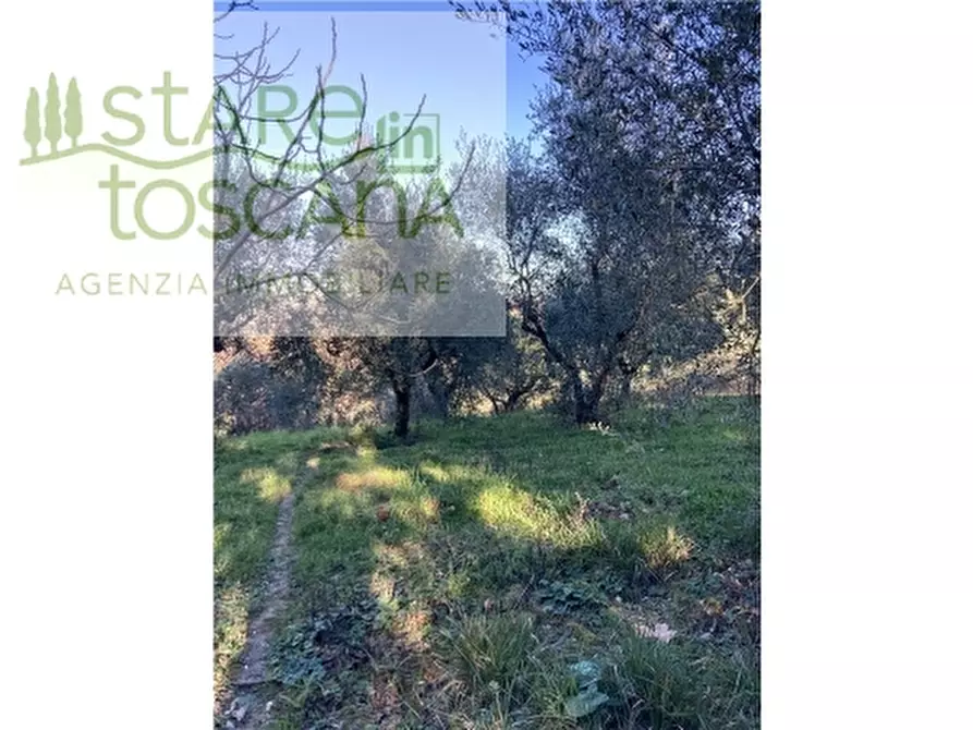 Immagine 3 di Appartamento in vendita  a Montespertoli