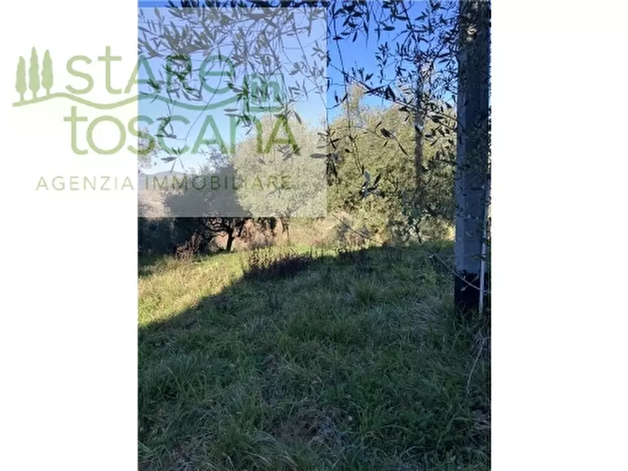 Immagine 5 di Appartamento in vendita  a Montespertoli