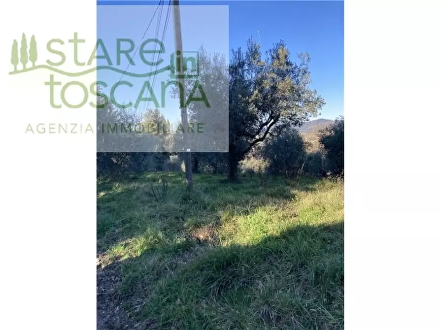 Immagine 6 di Appartamento in vendita  a Montespertoli