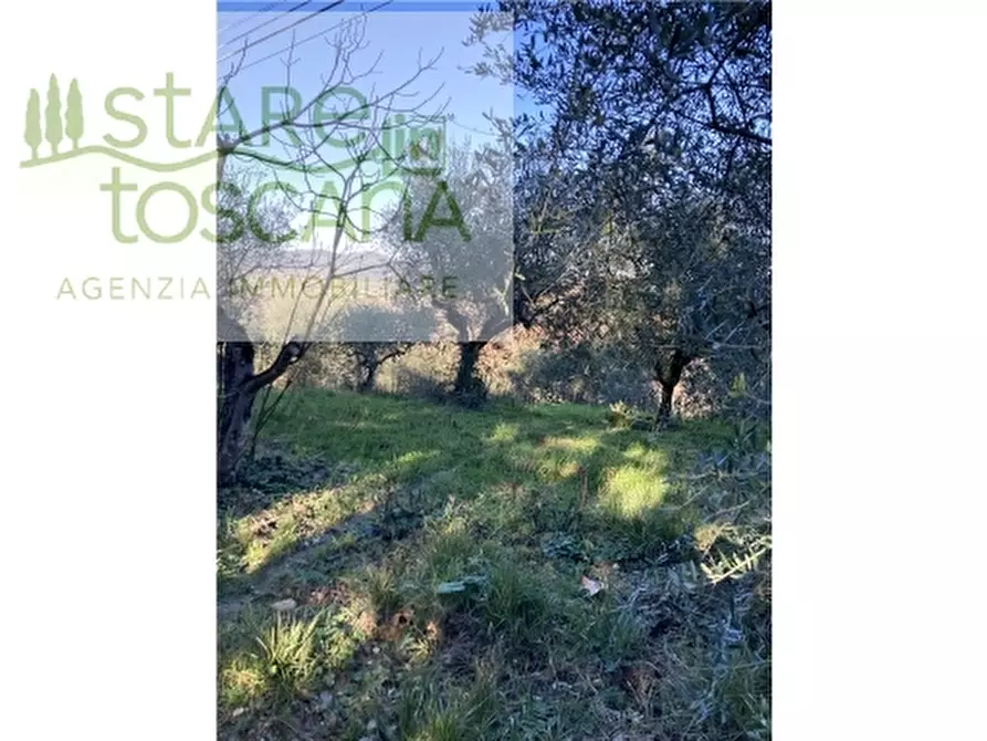 Immagine 7 di Appartamento in vendita  a Montespertoli