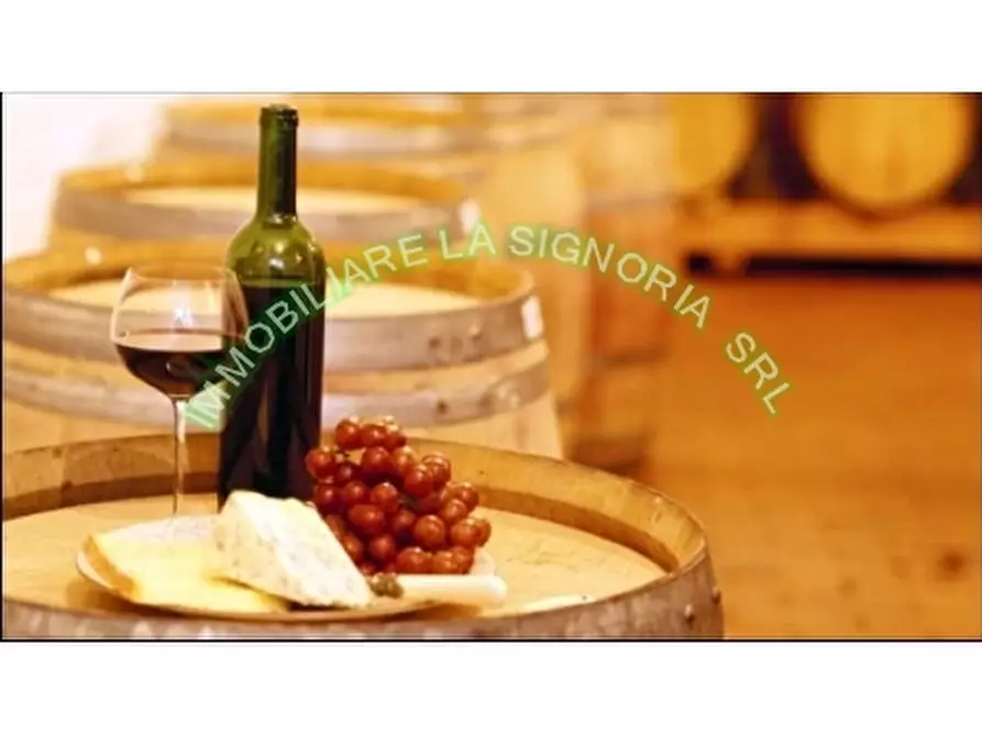 Immagine 5 di Negozio in vendita  a Firenze