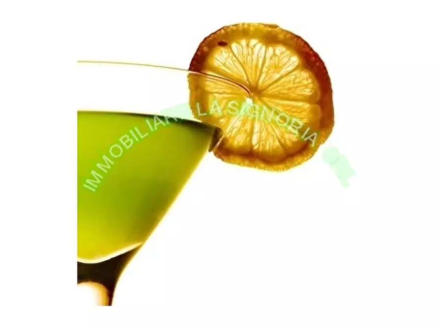 Immagine 6 di Negozio in vendita  a Firenze