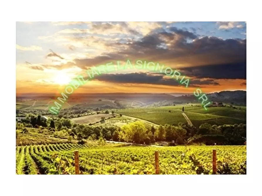 Immagine 2 di Negozio in vendita  a Montespertoli