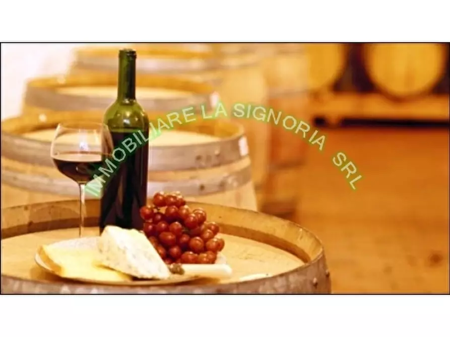 Immagine 2 di Negozio in vendita  a Firenze