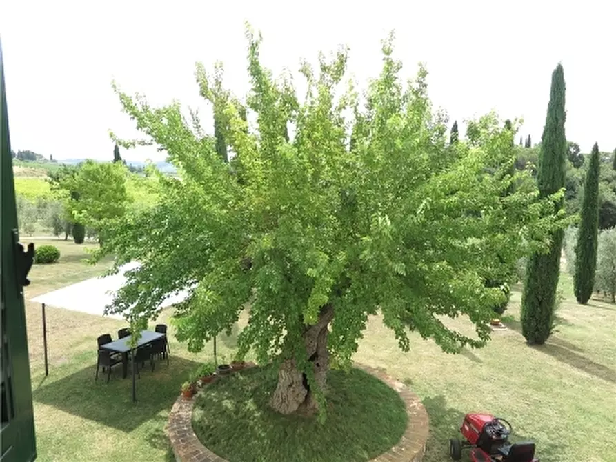 Immagine 12 di Rustico / casale in affitto  a Scandicci