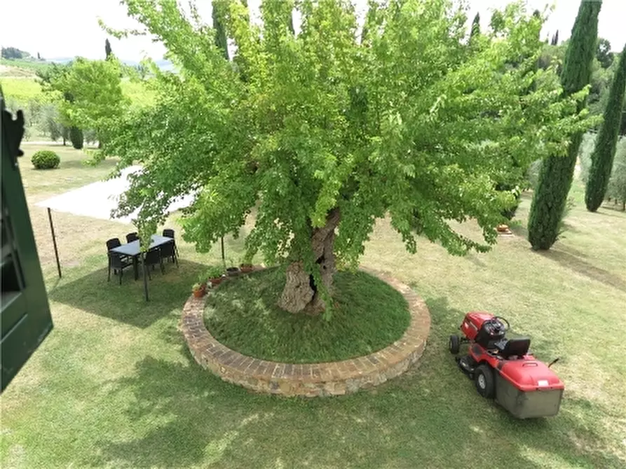 Immagine 25 di Rustico / casale in affitto  a Scandicci