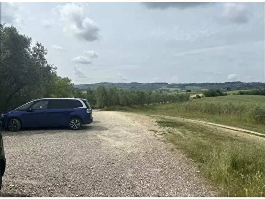 Immagine 35 di Rustico / casale in affitto  a Scandicci