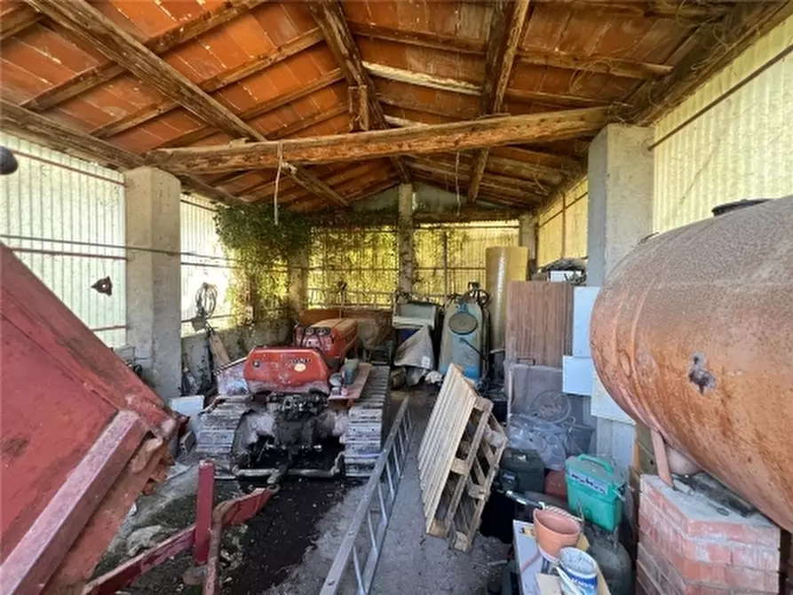 Immagine 8 di Rustico / casale in vendita  a Scandicci