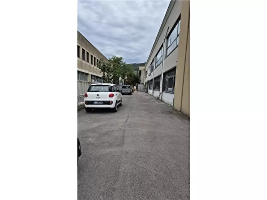Immagine 38 di Magazzino in affitto  a Pontassieve