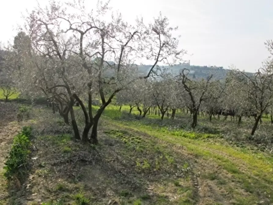 Immagine 2 di Appartamento in vendita  a Scandicci