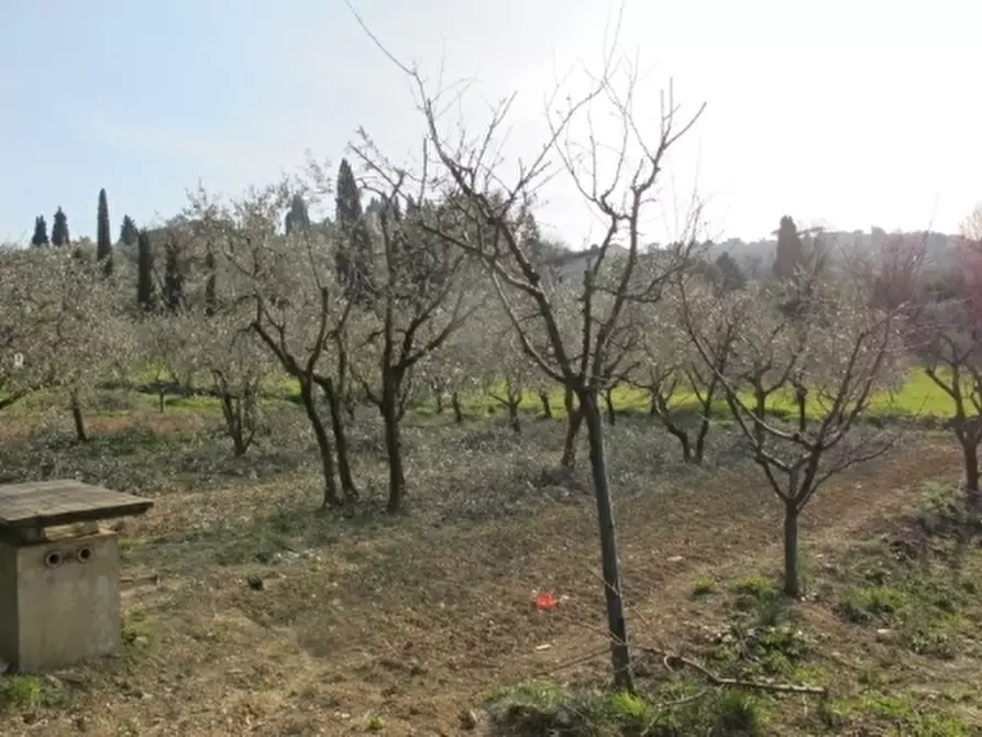 Immagine 4 di Appartamento in vendita  a Scandicci