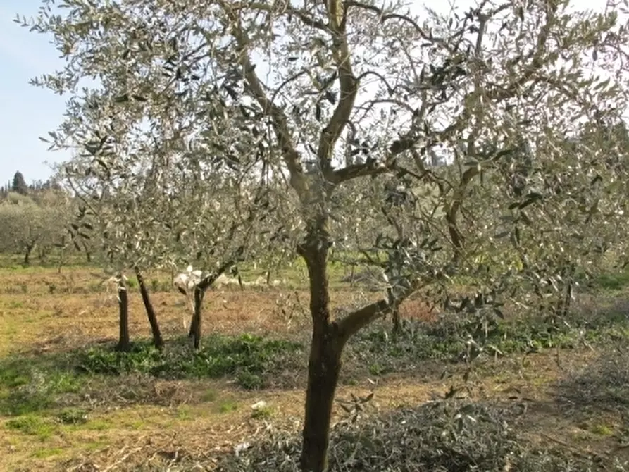 Immagine 6 di Appartamento in vendita  a Scandicci