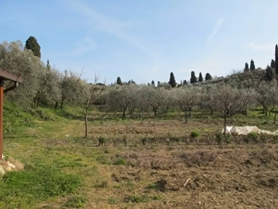 Immagine 7 di Appartamento in vendita  a Scandicci