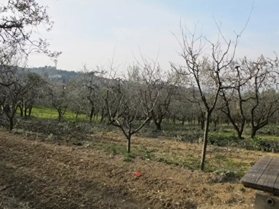 Immagine 8 di Appartamento in vendita  a Scandicci