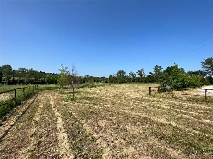 Immagine 3 di Appartamento in vendita  a Scandicci