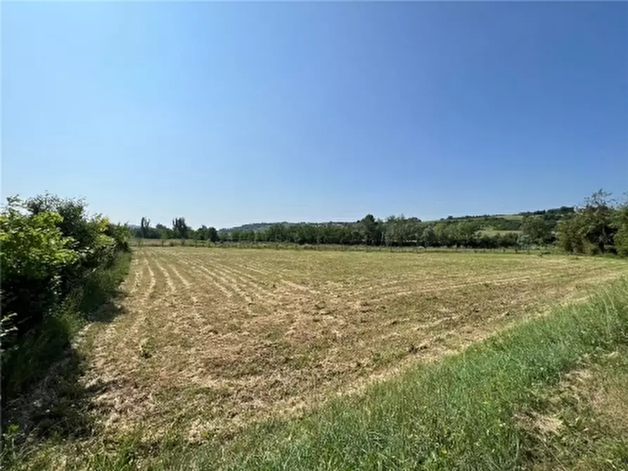 Immagine 4 di Appartamento in vendita  a Scandicci