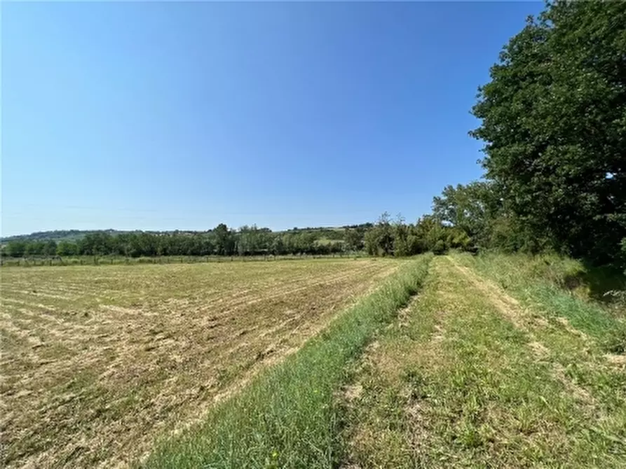 Immagine 5 di Appartamento in vendita  a Scandicci