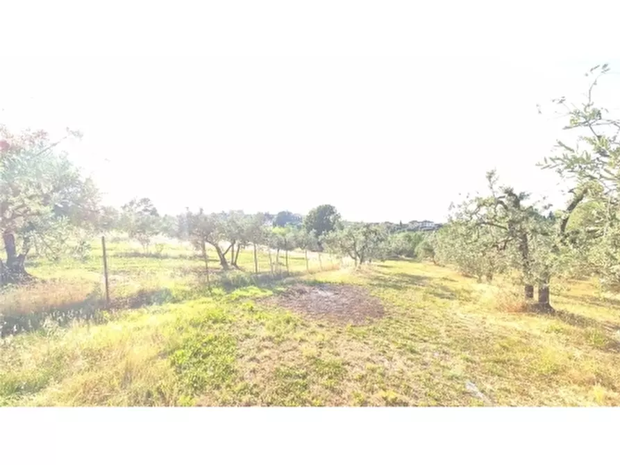 Immagine 1 di Appartamento in vendita  a Scandicci