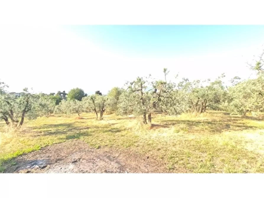 Immagine 3 di Appartamento in vendita  a Scandicci