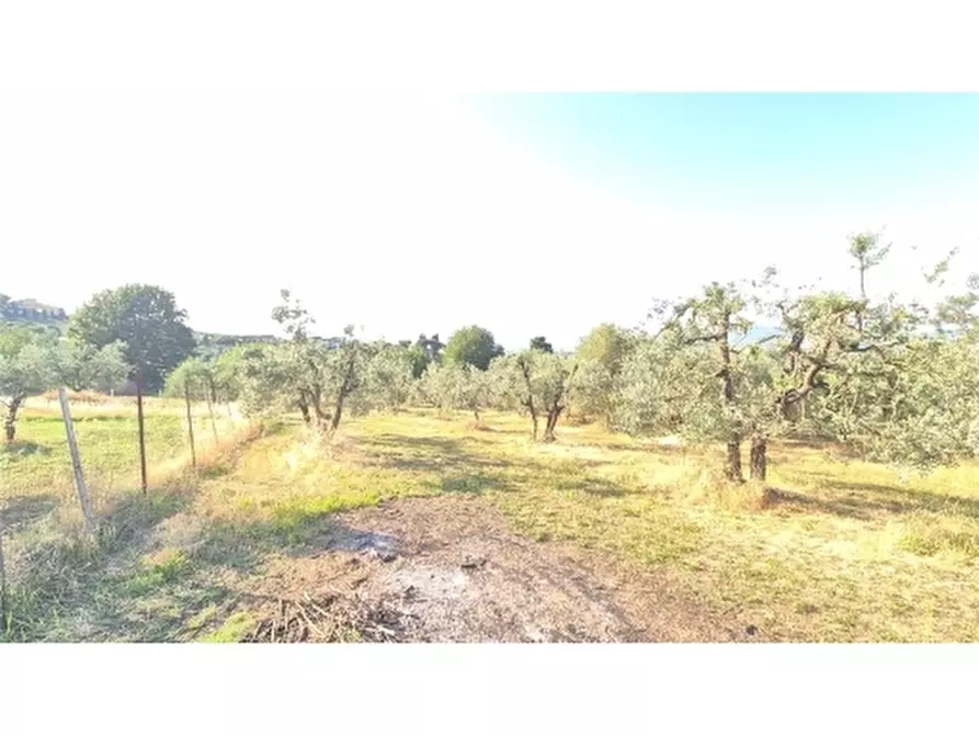 Immagine 4 di Appartamento in vendita  a Scandicci