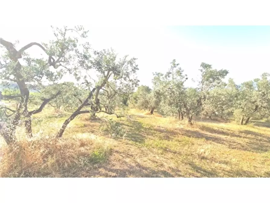 Immagine 9 di Appartamento in vendita  a Scandicci
