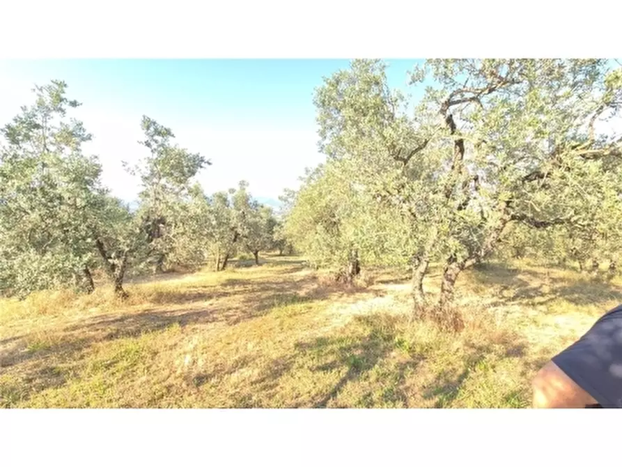Immagine 10 di Appartamento in vendita  a Scandicci