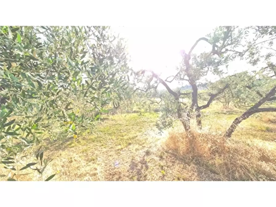 Immagine 11 di Appartamento in vendita  a Scandicci