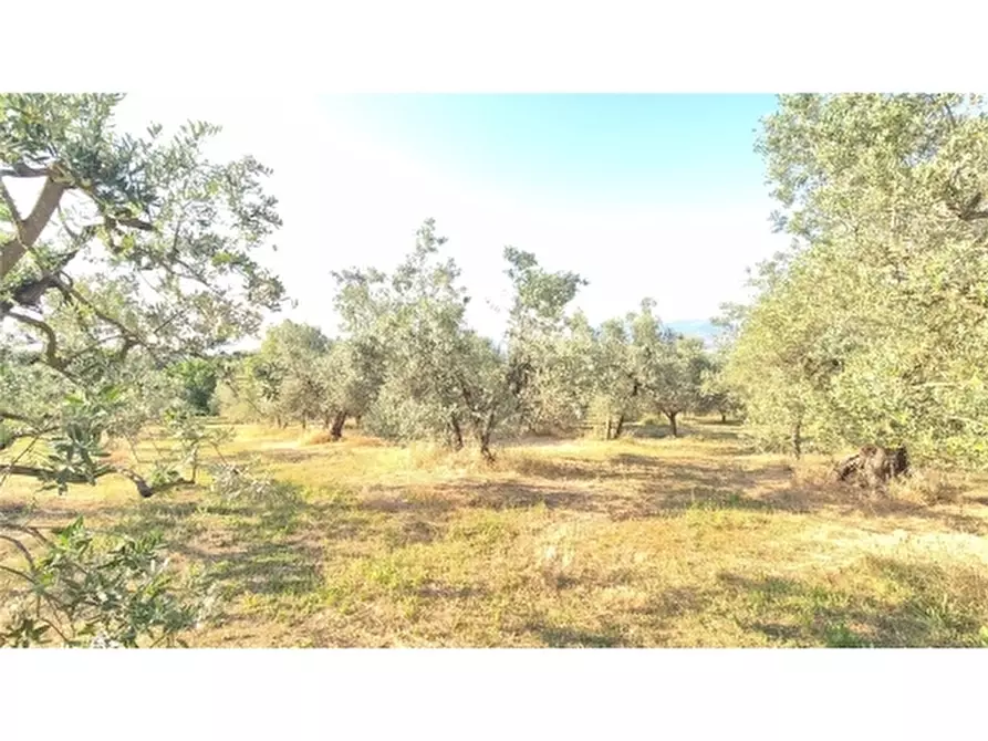 Immagine 13 di Appartamento in vendita  a Scandicci