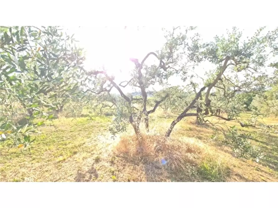Immagine 14 di Appartamento in vendita  a Scandicci
