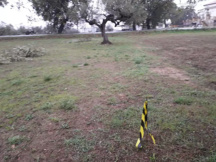 Immagine 15 di Terreno edificabile in vendita  in Via Faresi a Cepagatti