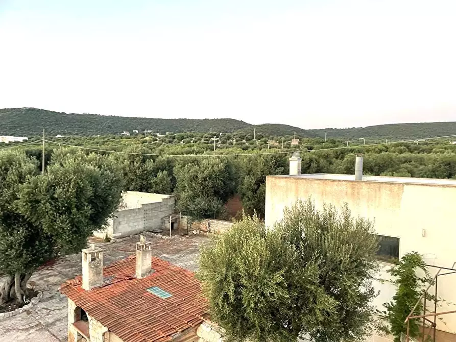 Immagine 3 di Stabile in vendita  in Contrada Macchia di Casa a Monopoli