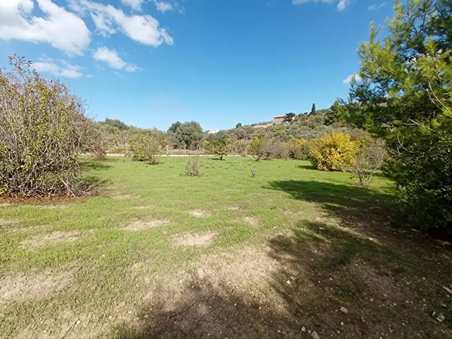 Immagine 6 di Terreno agricolo in vendita  in SV Segasidda Manna 14 a Sassari