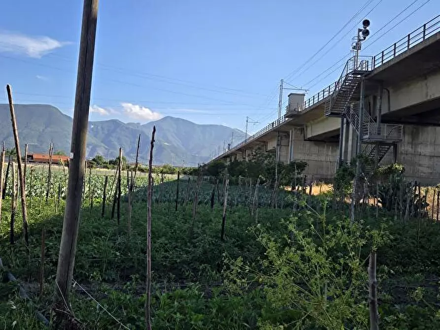 Immagine 2 di Terreno agricolo in vendita  in Via Sciulia 1 a San Valentino Torio