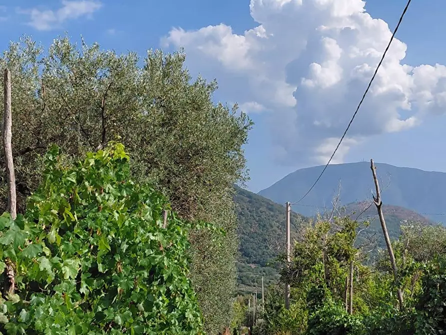 Immagine 5 di Terreno agricolo in vendita  in Via Bracigliano 1 a Sarno