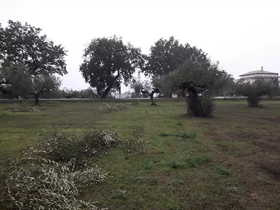 Immagine 16 di Terreno edificabile in vendita  in Via Faresi a Cepagatti