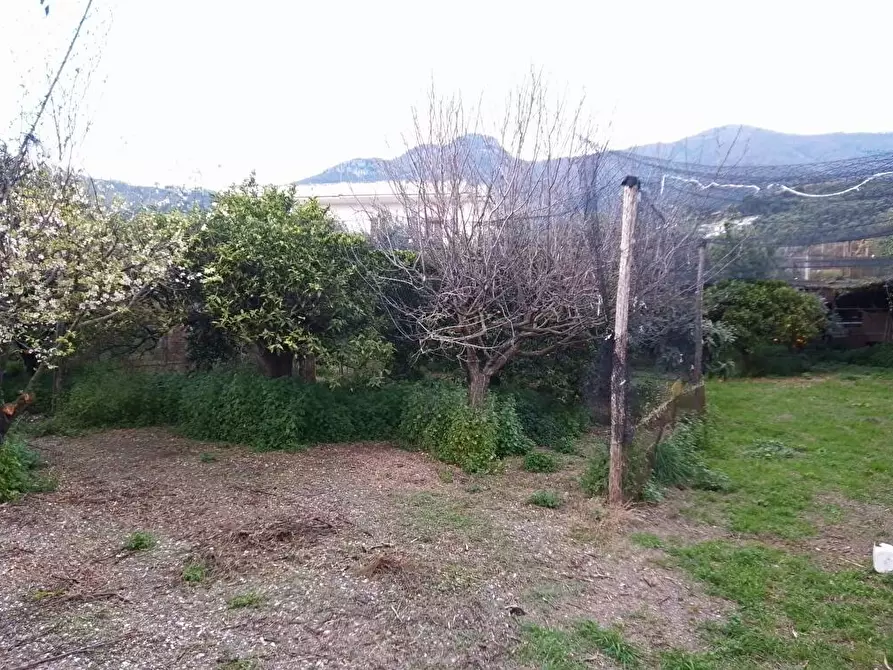 Immagine 10 di Terreno agricolo in vendita  in Via S.Vito 101 a Sarno