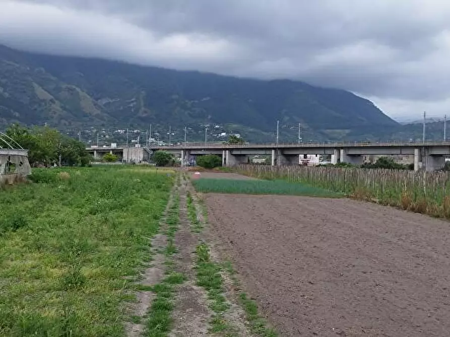 Immagine 5 di Terreno agricolo in vendita  in Via Fraina 1 a Sarno