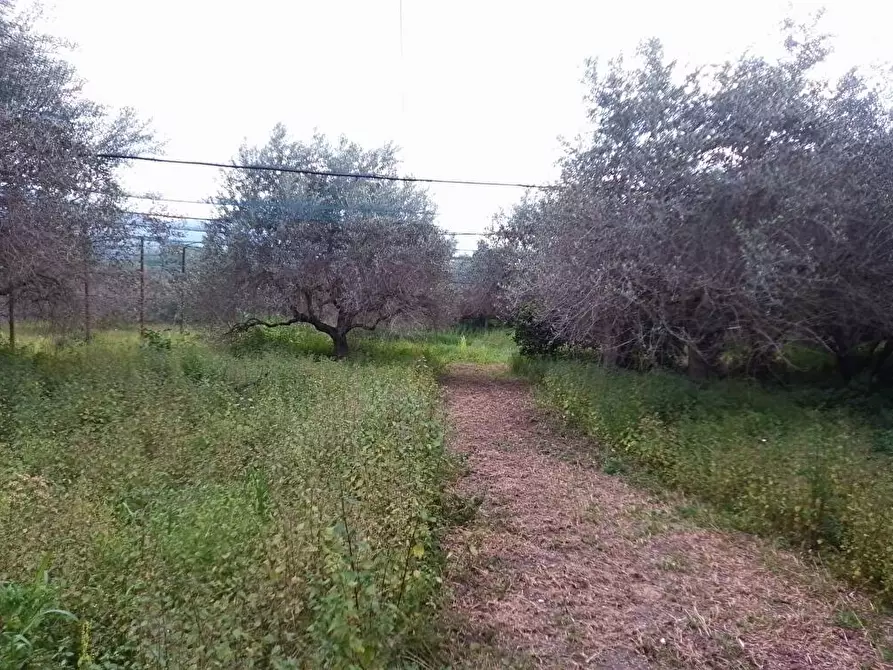 Immagine 2 di Terreno agricolo in vendita  in Via S.Vito 101 a Sarno