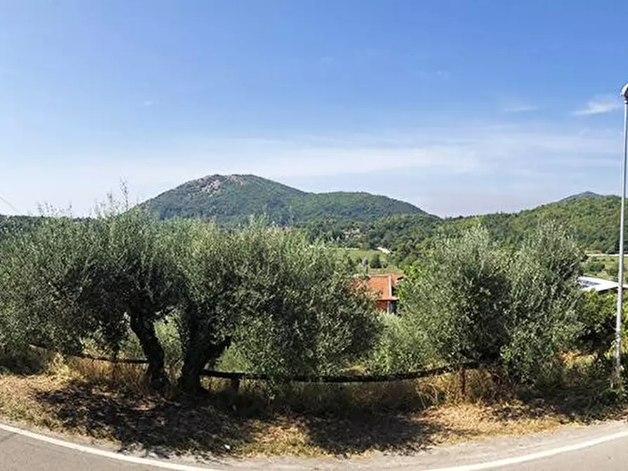 Immagine 4 di Albergo/B&B/Residence in vendita  in Via Villa snc a Liberi