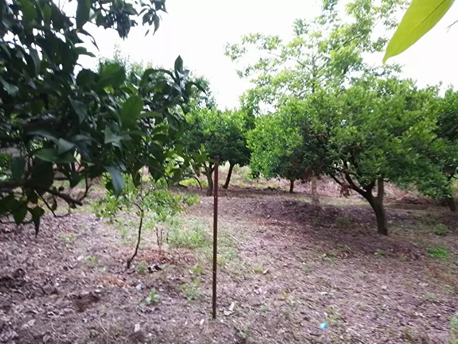 Immagine 12 di Terreno in vendita  in Via Sant'Eramo 10 a Sarno