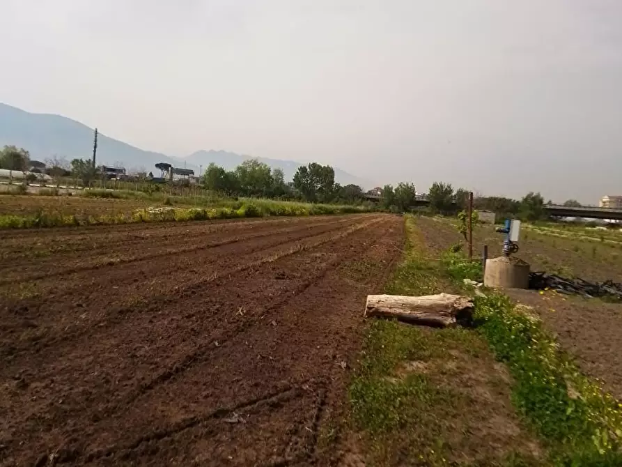 Immagine 4 di Terreno agricolo in vendita  in Via Fontanelle 1 a Sarno