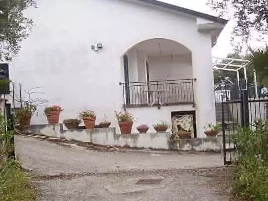 Immagine 2 di Casa vacanze in affitto  a Casal Velino