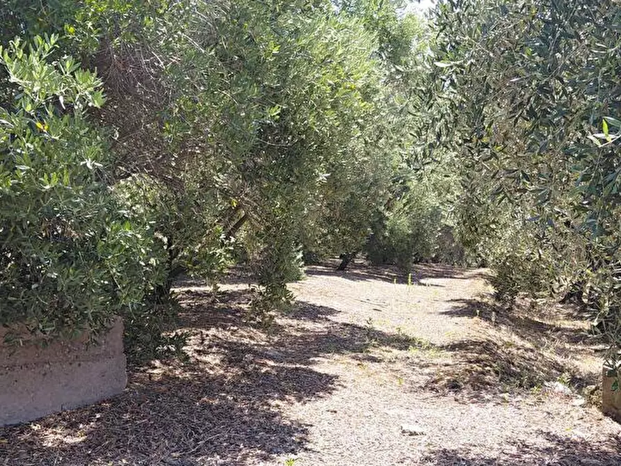 Immagine 2 di Terreno agricolo in vendita  in Via VillaVenere 10 a Sarno