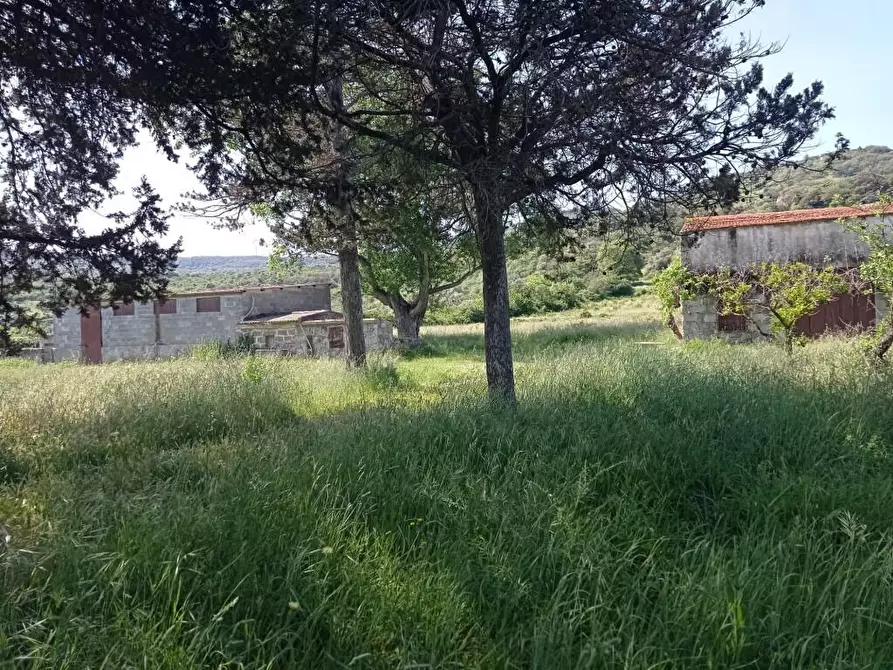 Immagine 12 di Terreno agricolo in vendita  in Matta e Padru snc a Bonorva
